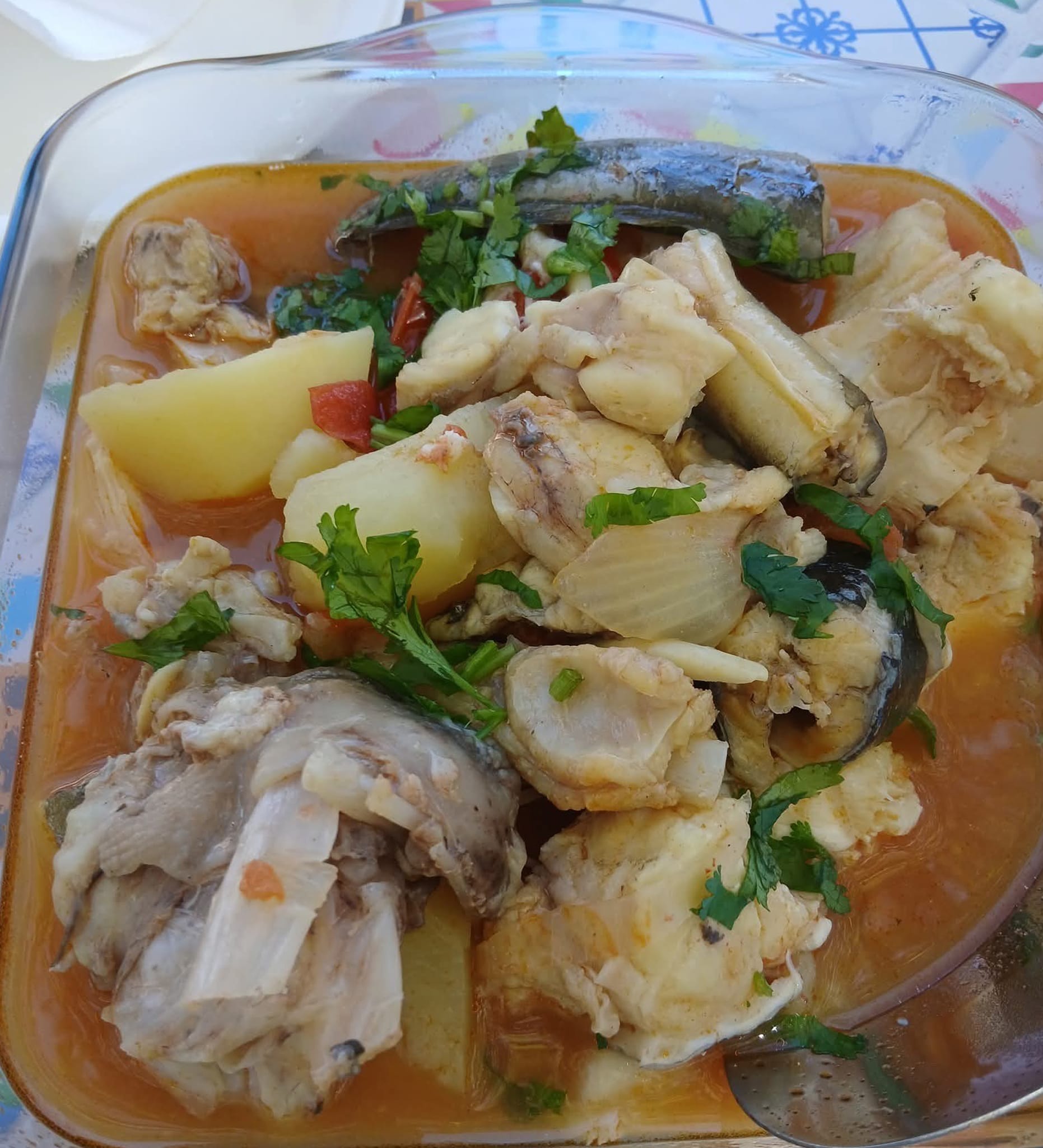 547147084 1250861350402823 5679026259590960605 n (1)