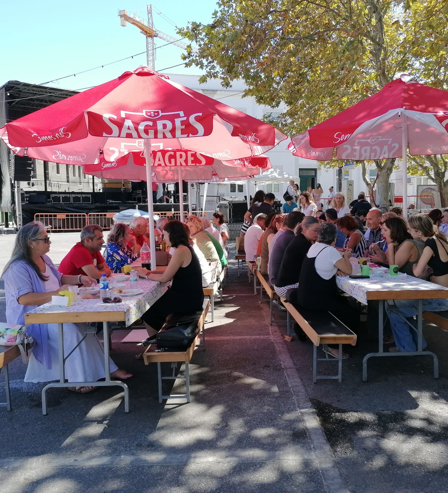 547204360 24762097923407125 8826799903694870857 n