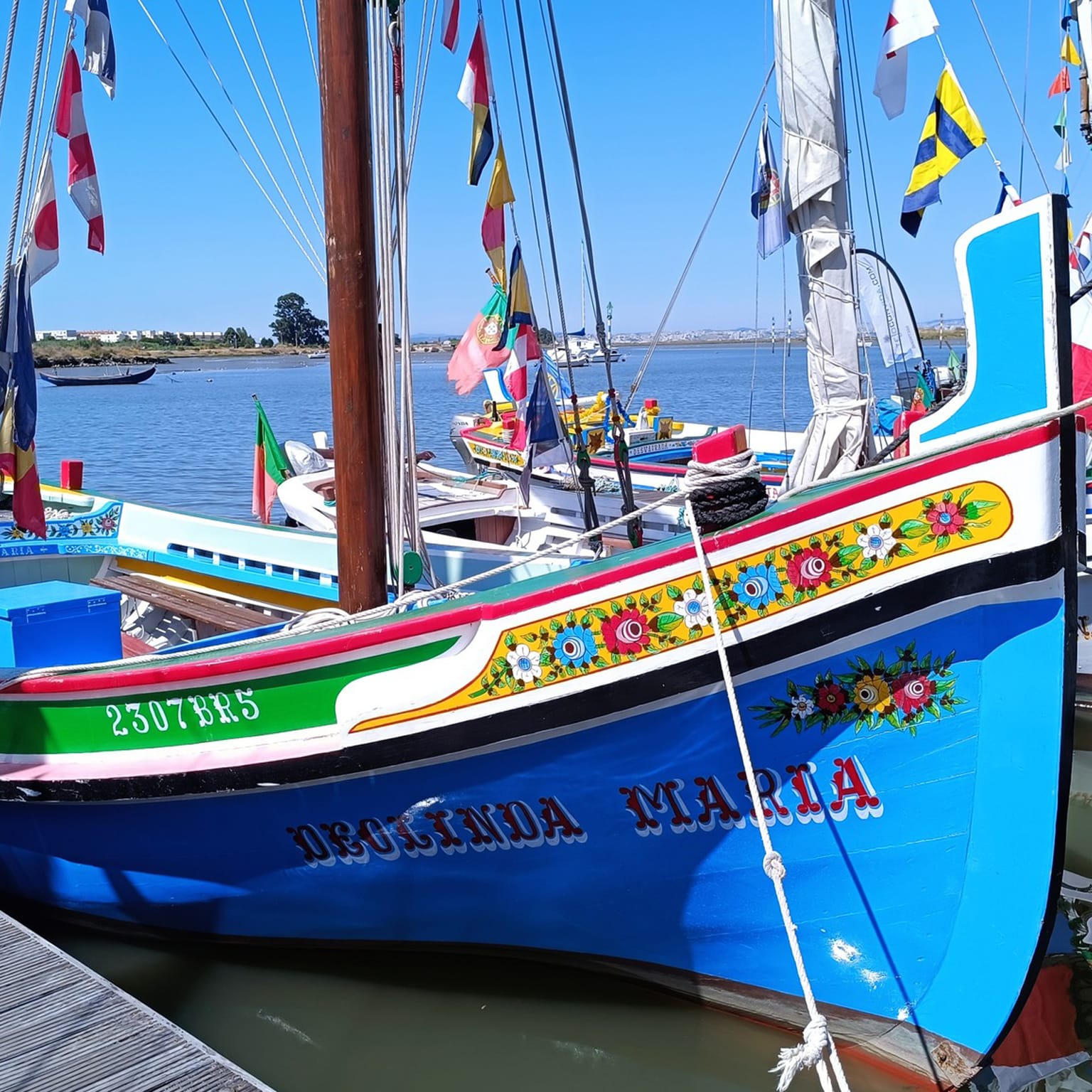 547461184 10223977762030802 1865688291725794111 n