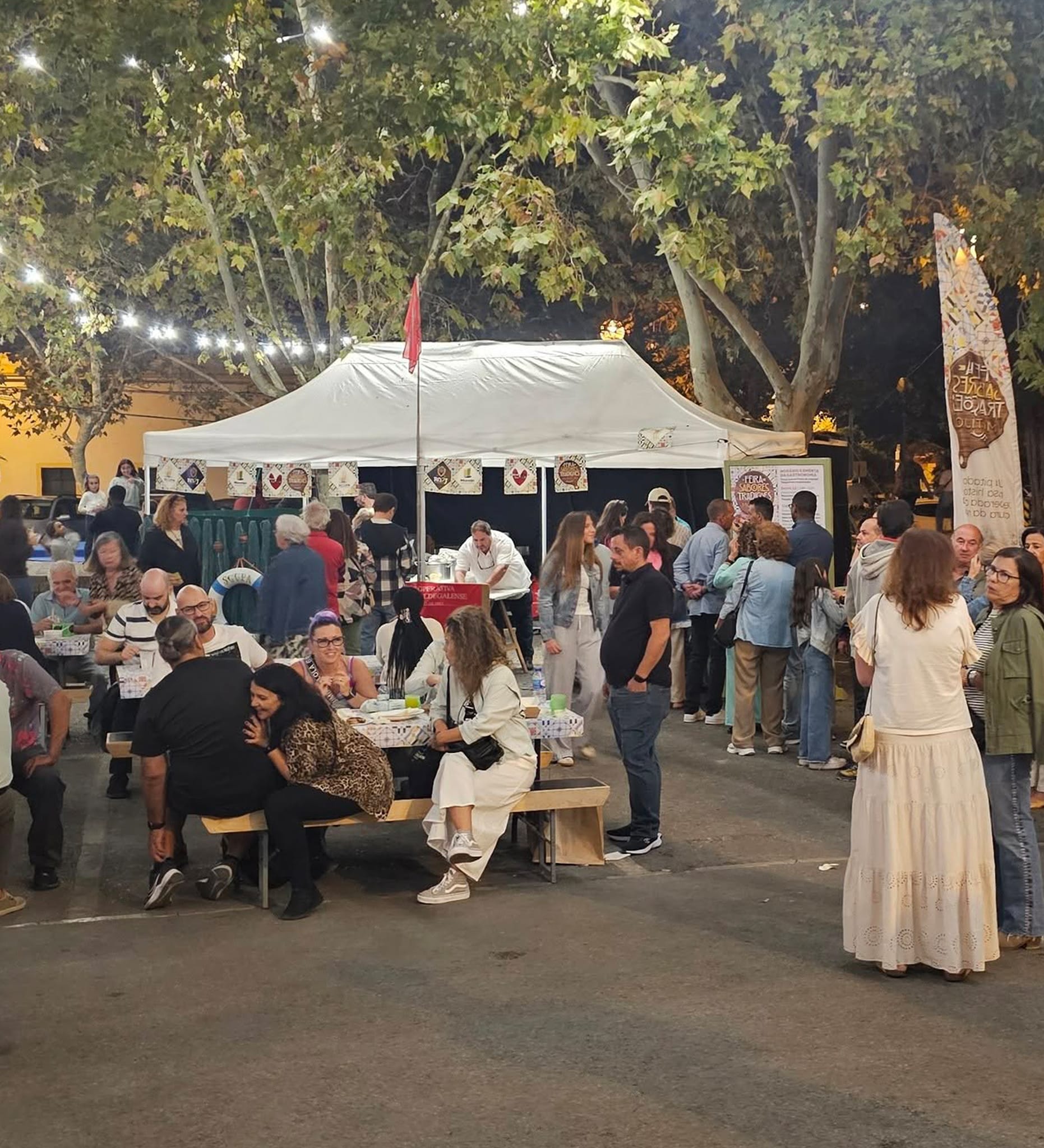 548765650 24675495982070028 7144330970864958113 n